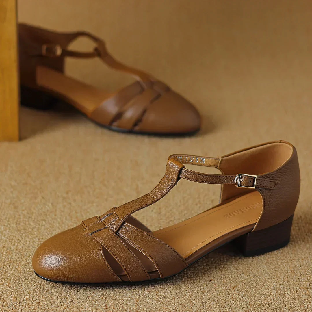 Brown / 11